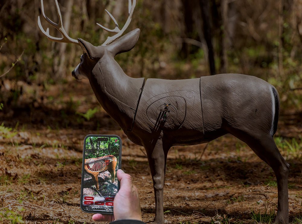 sustainable archery practices